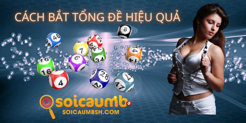 Tổng đề giúp bạn soi cầu XSMT hiệu quả