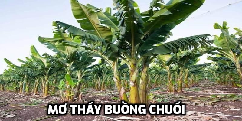 Mơ thấy buồng chuối chín vàng