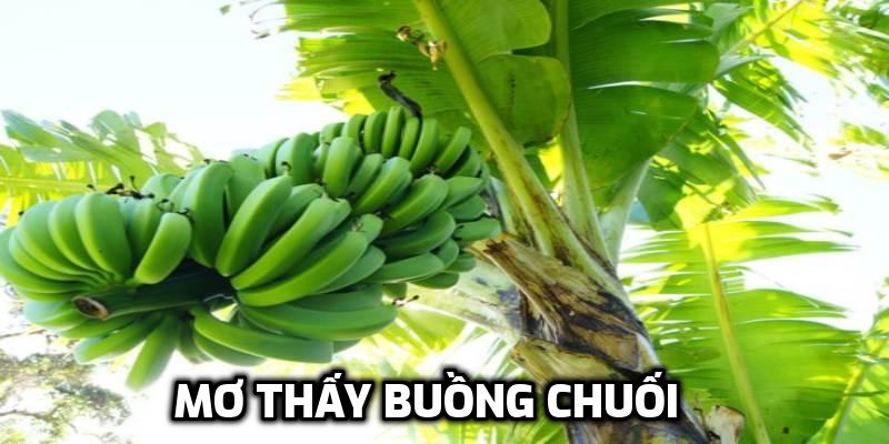 Mơ thấy buồng chuối xanh điềm báo gì?